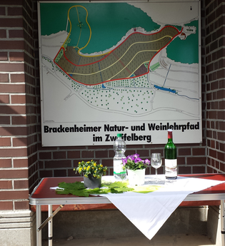 Wein - Sensorik - Kulinarik