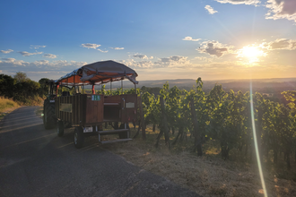 Wein-Erleben-Tour Weingut Alexander Bauer | HeilbronnerLand | © Touristikgemeinschaft HeilbronnerLand