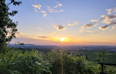 Aussicht Weinbergterrasse Weingut Alexander Bauer | HeilbronnerLand | © Touristikgemeinschaft HeilbronnerLand