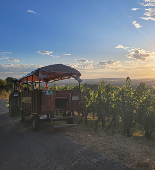 Wein-Erleben-Tour Weingut Alexander Bauer | HeilbronnerLand | © Touristikgemeinschaft HeilbronnerLand