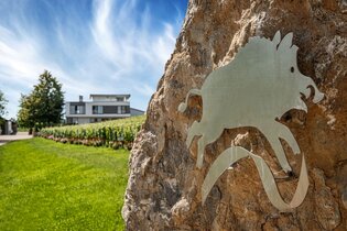 Blick in die Einfahrt des Weinguts Eberbach-Schäfer mit dem Symbol des Ebers befestigt an einem Stein.