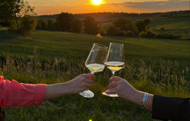 Wein-Genuss-Route Öwisheim | © Pillusch