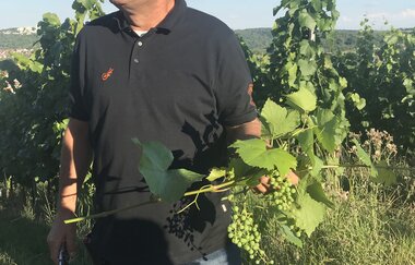 Wein-Genuss-Touren Wilhelm Pfitzenmaier | © 3B-Torismus