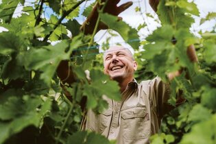 Wein im Einklang mit der Natur | © Heilbronn Marketing GmbH