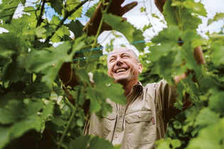 Wein im Einklang mit der Natur | © Heilbronn Marketing GmbH