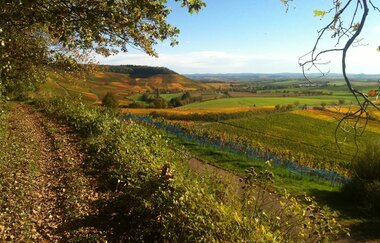 Wein-Rad-Runde | E-Bike Tour