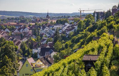 Wein und Fachwerk in der Bietigheimer Altstadt