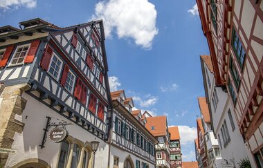 Wein und Fachwerk in der Bietigheimer Altstadt