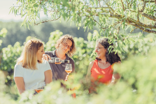 Weingut Koppenhöfer | Löwenstein-Rittelhof | Weinerlebnisführung | Weinsberger Tal | © Tourismus im Weinsberger Tal e.V.