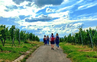 Vineyard - Wartberg - Wengerthaus "Light" | © Nicole Halter