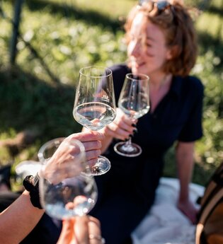 Weinblicke Natur und Neckarblick | buchbares Gruppenangebot