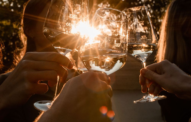 Weinblicke Natur und Neckarblick | buchbares Gruppenangebot