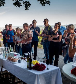 Eine Frau erklärt vor einen Tisch einer Gruppe einen Wein | © Touristikgemeinschaft Hohenlohe e. V.