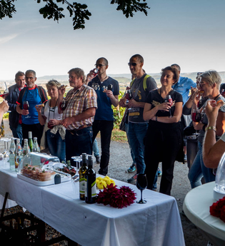 Eine Frau erklärt vor einen Tisch einer Gruppe einen Wein | © Touristikgemeinschaft Hohenlohe e. V.