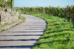 Brackenheimer (W)Einblicke | WeinErlebnisFührung mit Regine Sommerfeld im Weinsüden Weinort Brackenheim | © Neckar-Zaber-Tourismus e.V.