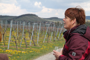 Beate Vollert | Weinerlebnisführerin | Weinerlebnistouren | HeilbronnerLand | © Beate Vollert