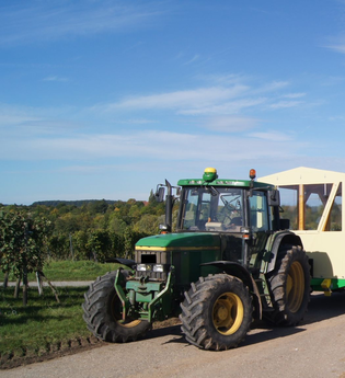 Weinbergrundfahrten Hoffmann | Planwagen- und Weinbergrundfahrten | HeilbronnerLand | © Winzerhof am Schlierbach