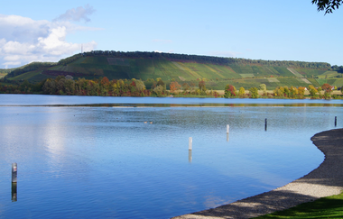 Breitenauer See Obersulm | Planwagen- und Weinbergrundfahrten | HeilbronnerLand | © Winzerhof am Schlierbach