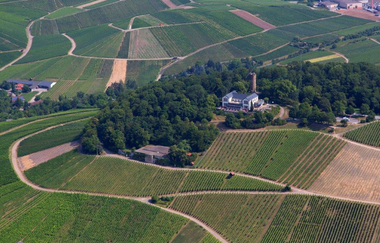 Weingenuss in Eigenregie | © Heilbronn Marketing GmbH