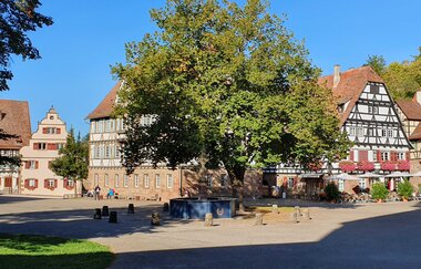 Weinkultur und Schnapsideen – Kloster Maulbronn und Schnapsmuseum Bönnigheim | © Stadt Maulbronn