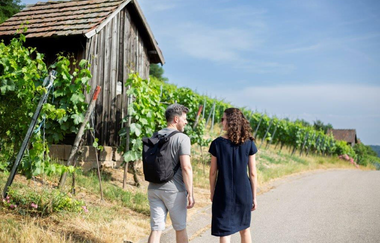 Weinpicknick | © Heilbronn Marketing GmbH