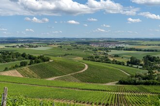 Aussicht über Nordheim und das Zabergäu | © Gemeinde Nordheim