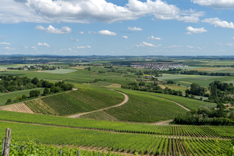 Aussicht über Nordheim und das Zabergäu | © Gemeinde Nordheim