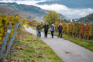 Weinprobe im Weinberg | © Liebliches Taubertal
