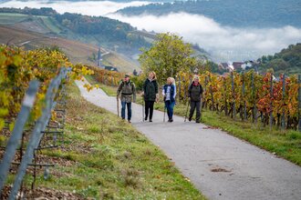 Weinprobe im Weinberg | © Liebliches Taubertal