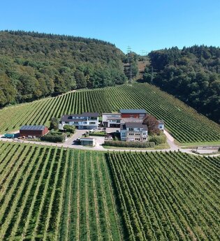 Blick von oben auf das Weingut Bauer | © Weingut Bauer