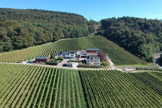 Blick von oben auf das Weingut Bauer | © Weingut Bauer
