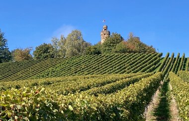 Weinprobe im Wengerthäusle