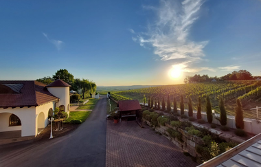 Weingut Kurz-Wagner - Aussichtslage auf dem Haigern | Talheim | HeilbronnerLand | © Weingut Kurz-Wagner