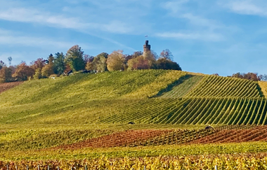 Weinspaziergang & grillen am Wengerthäusle