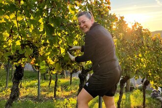 Weingästeführerin bei der Arbeit im Weinberg | © Christin Kuhn