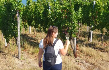 Weinwanderrucksack Weinsberger Tal