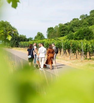 Weinwanderung ganz ohne GPS