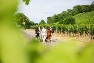 Weinwanderung ganz ohne GPS