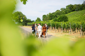 Weinwanderung ganz ohne GPS