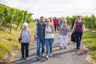 Eine Gruppe fröhlicher Menschen wandert über einen asphaltierten Weg zwischen Weinreben | © Heilbronn Marketing GmbH