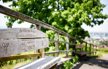 eine Wiese mit einem großen Laubbaum wird durch einen Holzzaun vom asphaltierten Weg abgegrenzt. Entlang des Zauns stehen zwei verwitterte Holzbänke. | © Heilbronn Marketing GmbH
