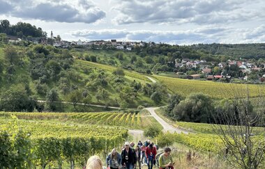 Weinwissen Württemberg