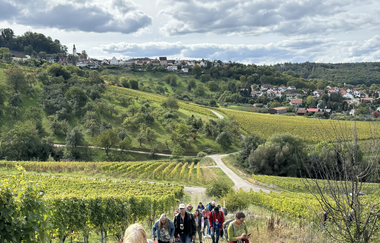 Weinwissen Württemberg