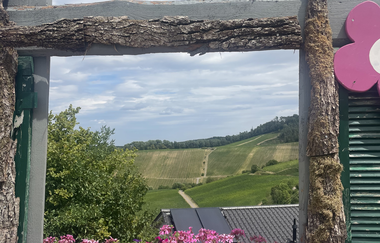 Blick auf die Löwensteiner Weinberge | © Petra Wagner