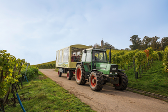 Planwagenfahrt Wengert-Schleicher | Schwaigern | HeilbronnerLand | © Heuchelberger Weingärtner
