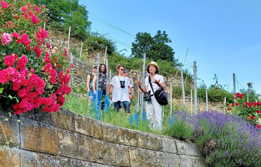 Wengert, Wahn & Weiberzeche | © Daisy Knisel