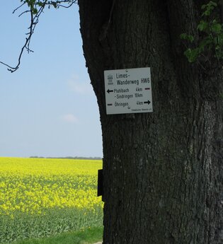 Limes-Führung: Westernbach – rund ums Kastell | © Doris Köhler