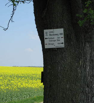 Limes-Führung: Westernbach – rund ums Kastell | © Doris Köhler