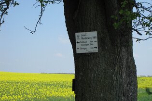 Limes-Führung: Westernbach – rund ums Kastell | © Doris Köhler