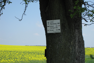 Limes-Führung: Westernbach – rund ums Kastell | © Doris Köhler